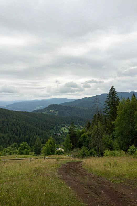 this is a view of a grassy field with mountains in the background