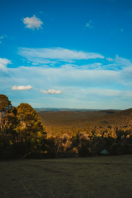 an image of trees and blue skies from the mountain