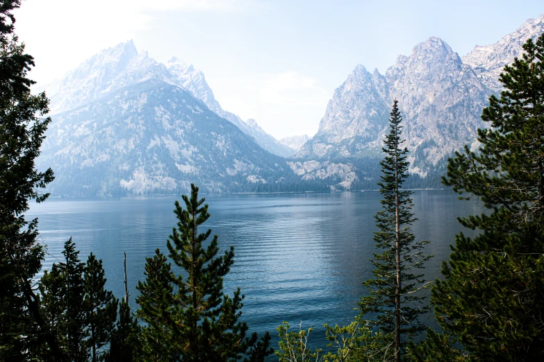 a scenic view of a lake in the middle of a forest