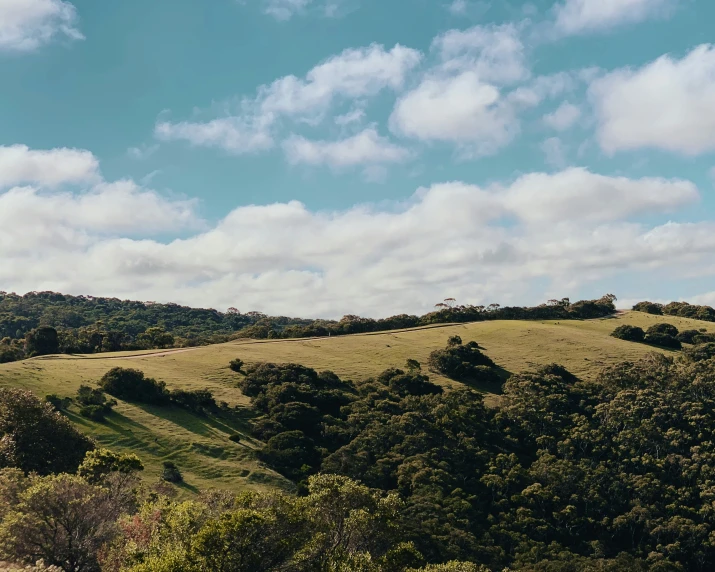 a beautiful view of the land and trees on a hill