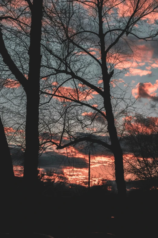 the sun sets behind some bare trees in a rural area