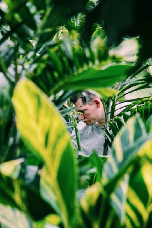 a man looking at some vegetation inside of his house