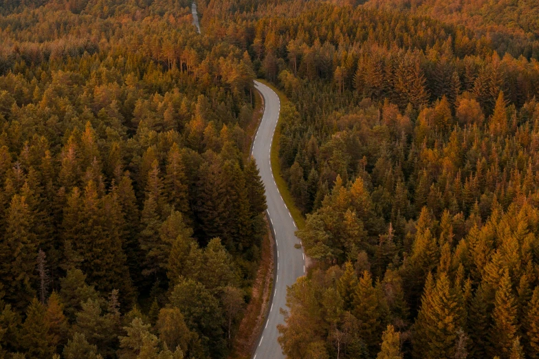 an aerial view of an autumn day and the winding road