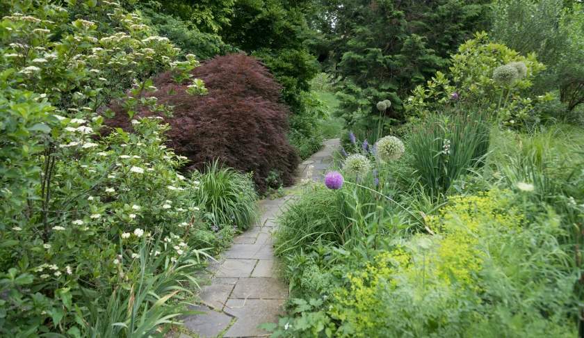 a path with colorful flowers and shrubs on both sides