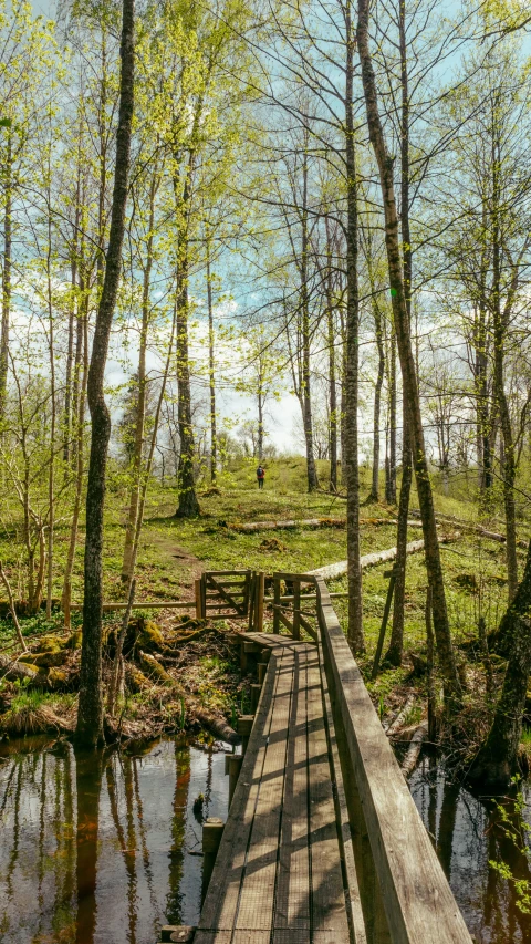 this is a small wooden bridge over water