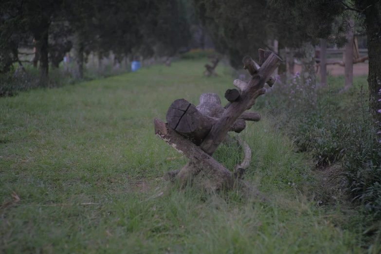 an old tree with some kind of bench out front