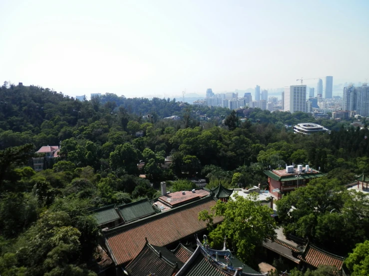 the skyline of the city is seen in the distance