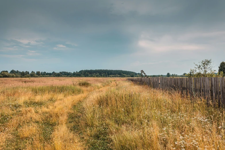 a rural road in the country side in the fall