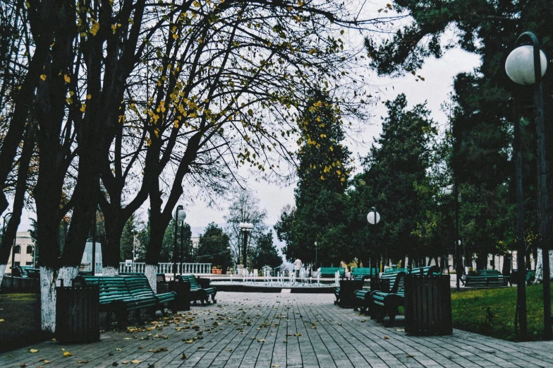 a park path surrounded by lots of trees and benches