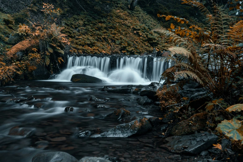 a small waterfall surrounded by rocky ground and trees