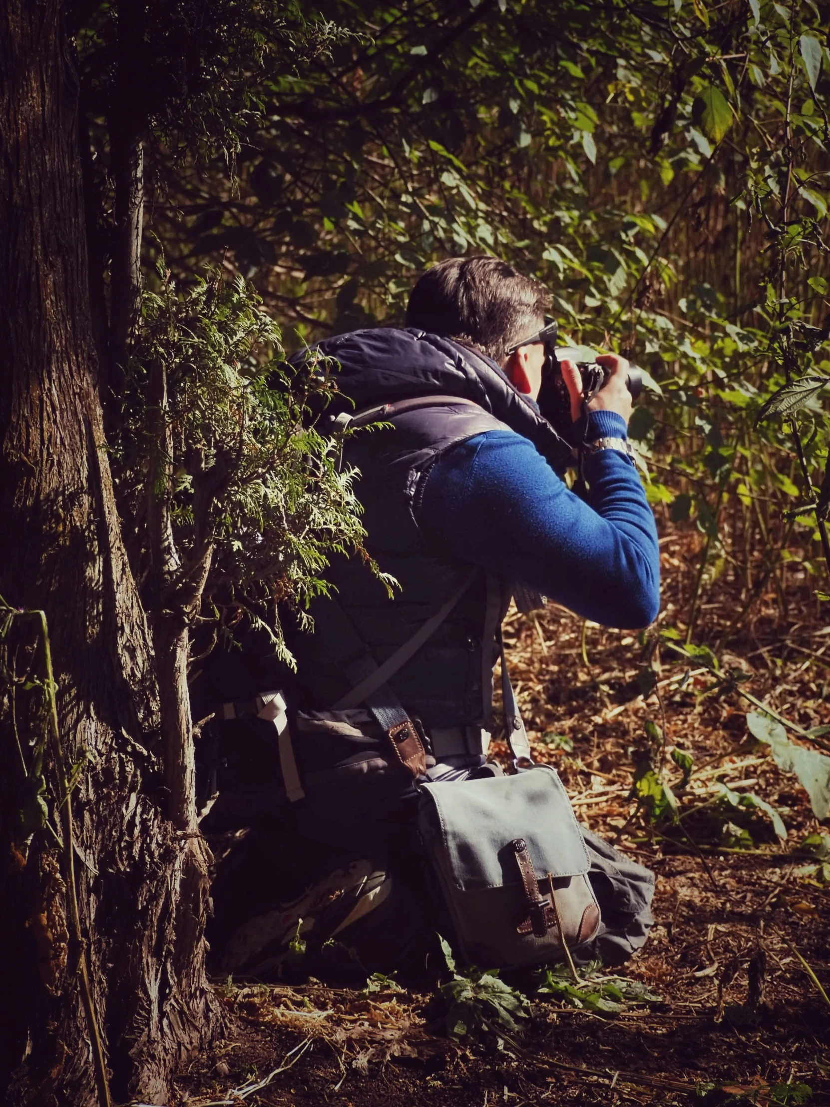 a person in a forest taking pictures with a camera