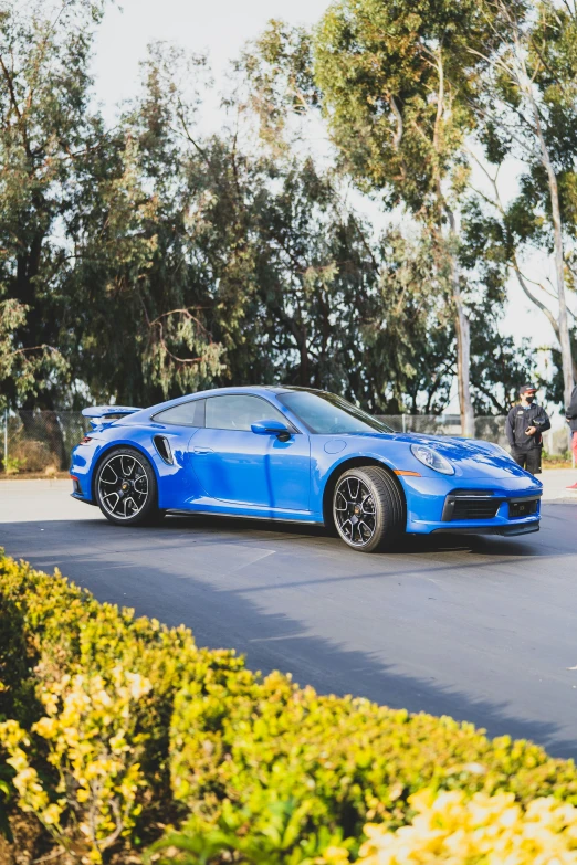 blue sports car on street in front of shrubbery