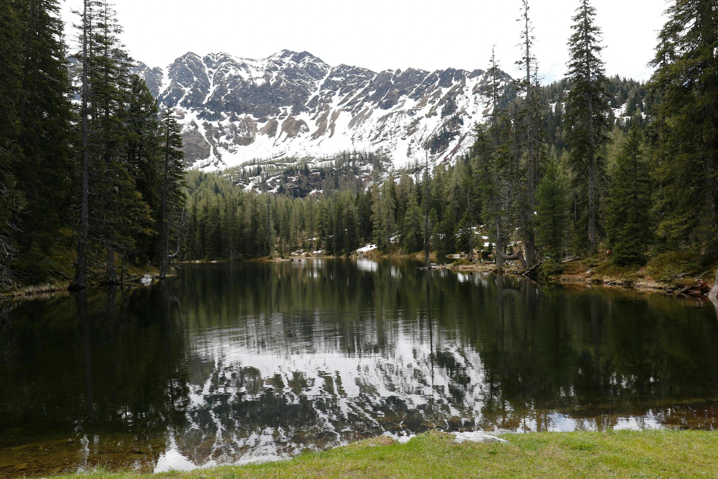 snow covered mountain reflecting the forest and water