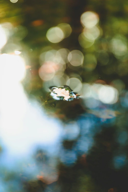 the top part of a drop of water reflecting on a surface