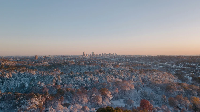 an image of a city skyline from the top of a hill