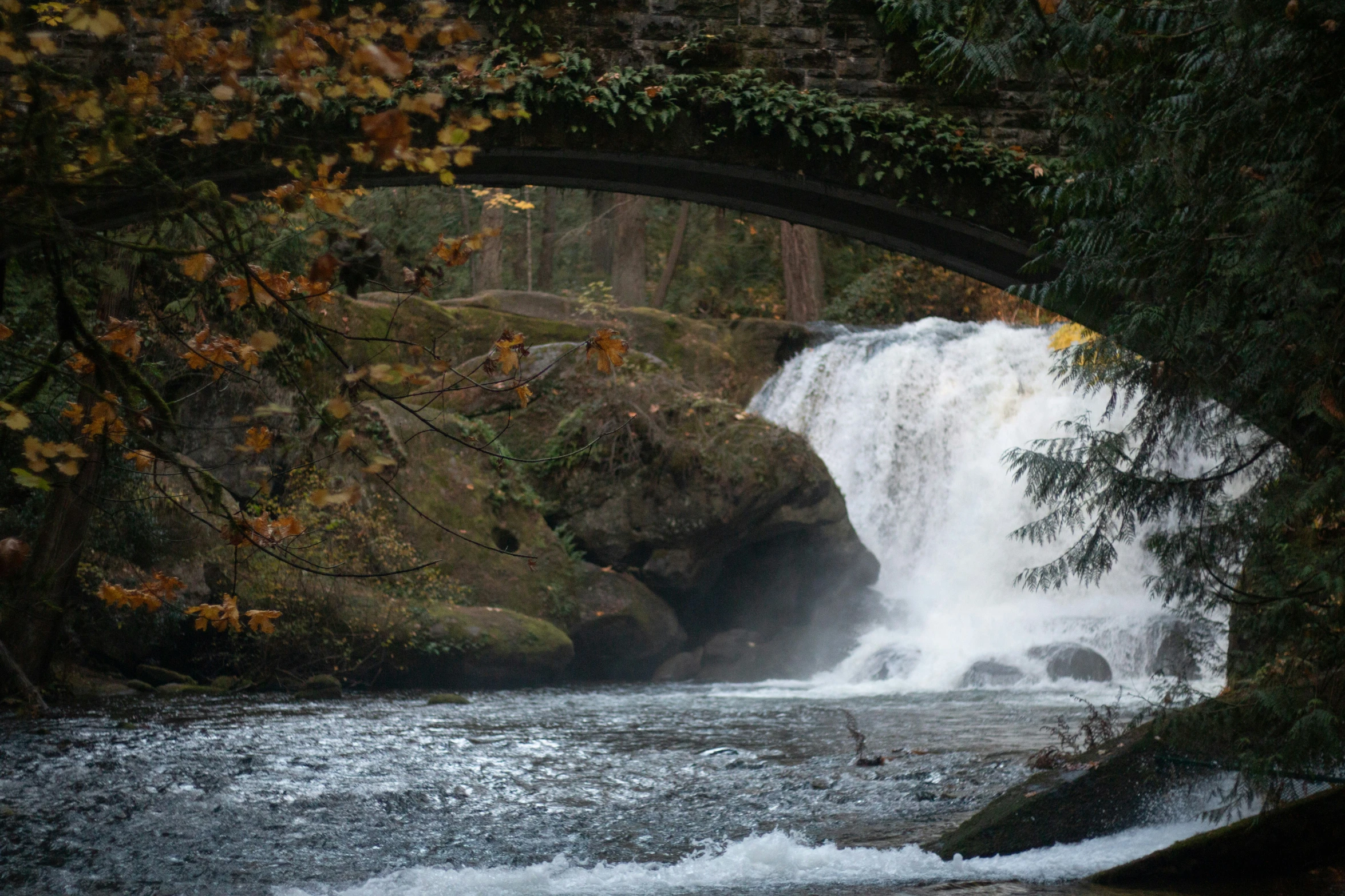 there is an arch that spans over the river into the woods