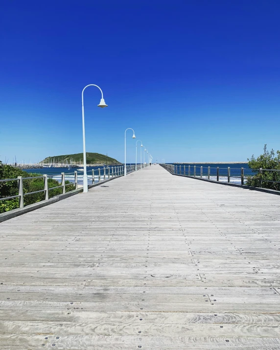 a wooden dock surrounded by greenery and blue sky