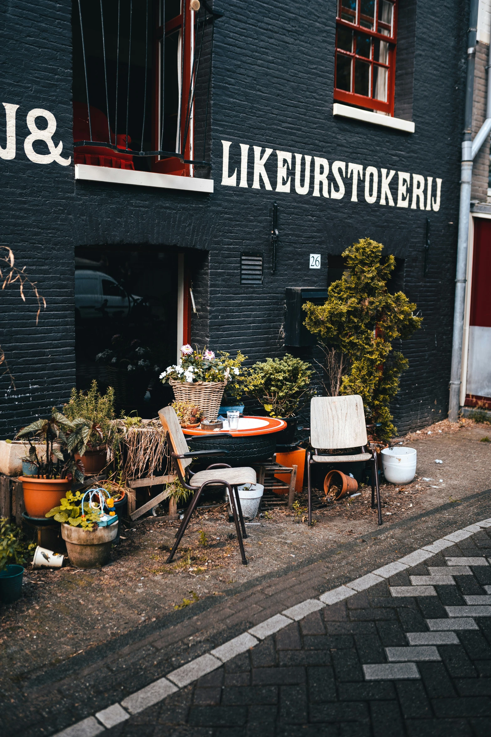 various plants are sitting outside of a shop front