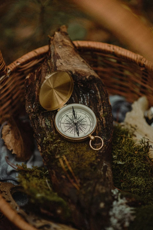 a white compass and some moss in a basket