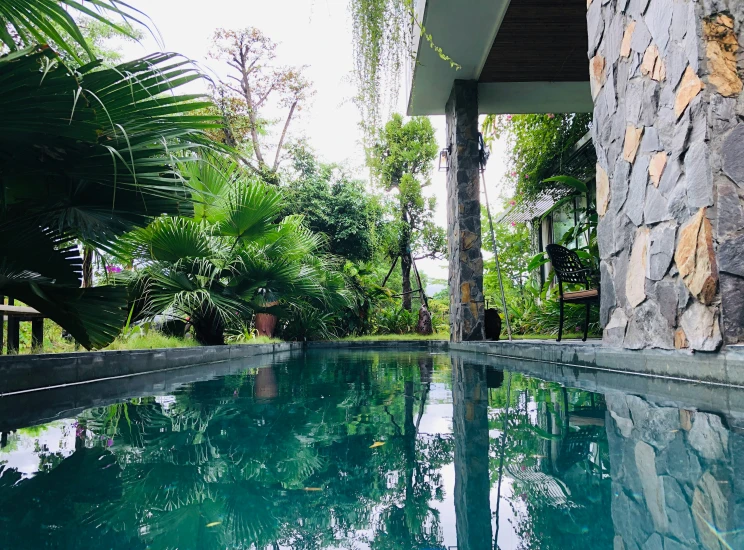 a pool with blue water surrounded by plants