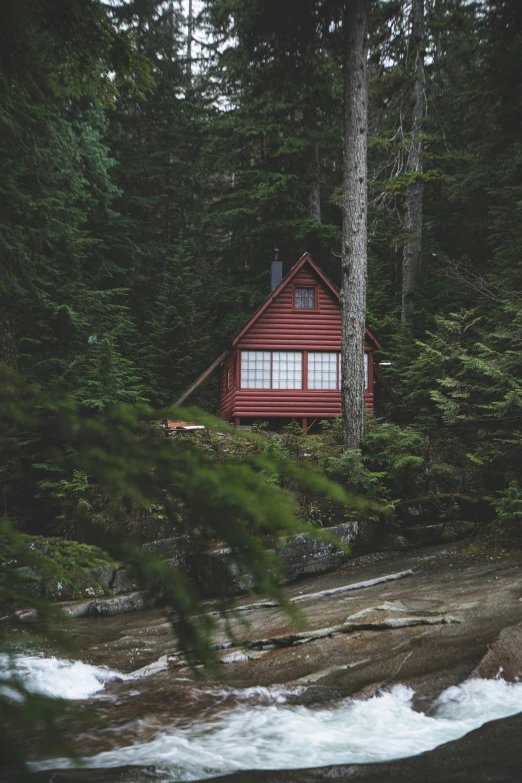 a log house is situated in the woods near a river