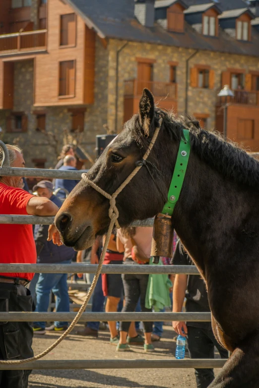 the man and woman have horses out for a ride