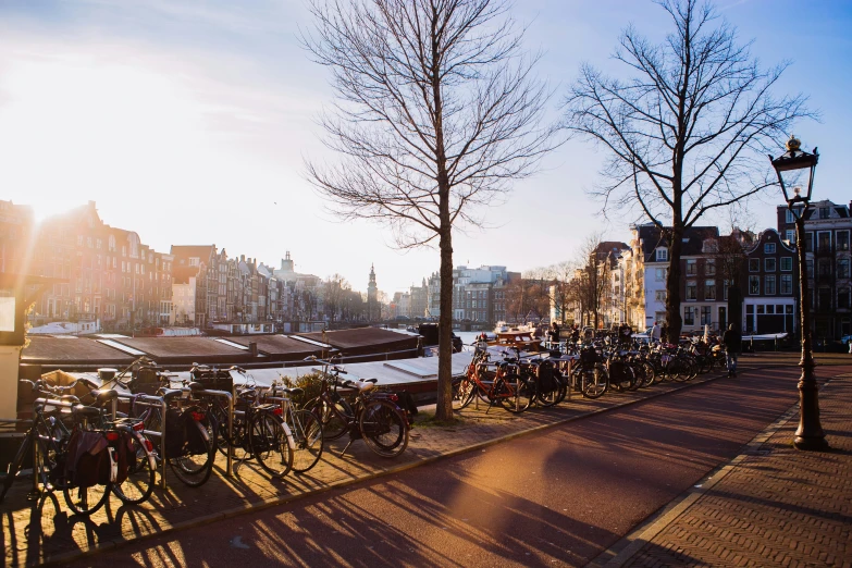 bicycles parked in the shade of the setting sun