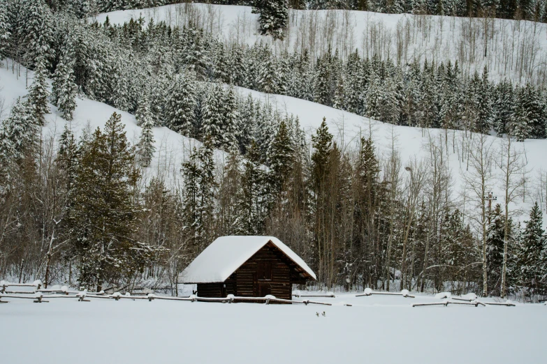 the cabin is situated on a hillside near trees