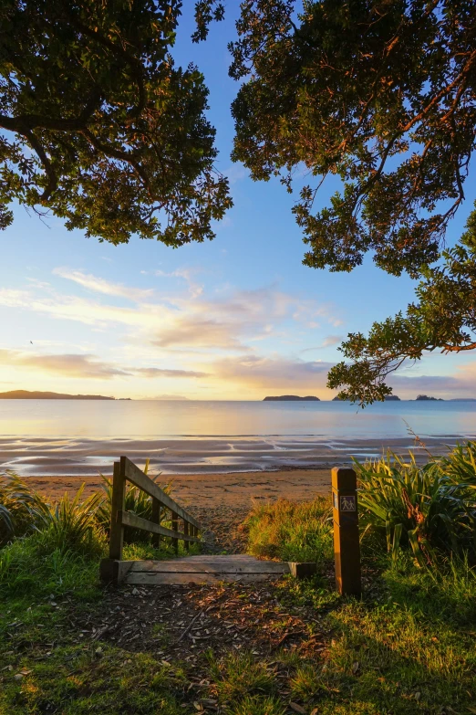 steps to the beach at sunset near a grassy area