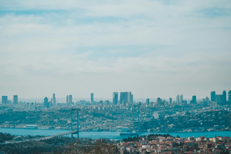 a bird flies over the city with many buildings in the background