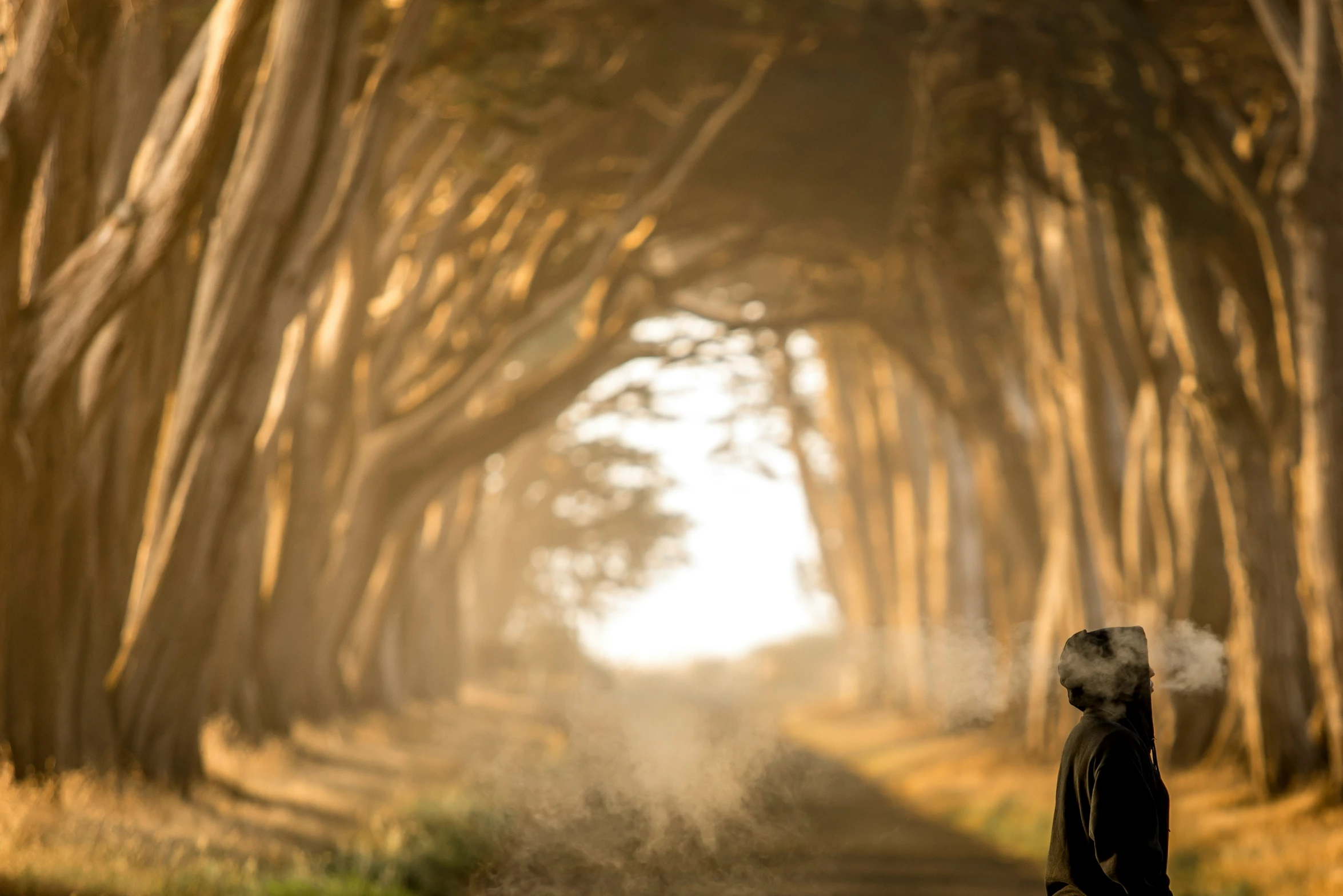 a man walking through a very long tree lined road