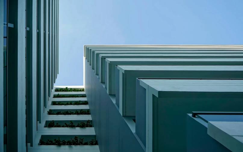 a white building with a planter on the steps