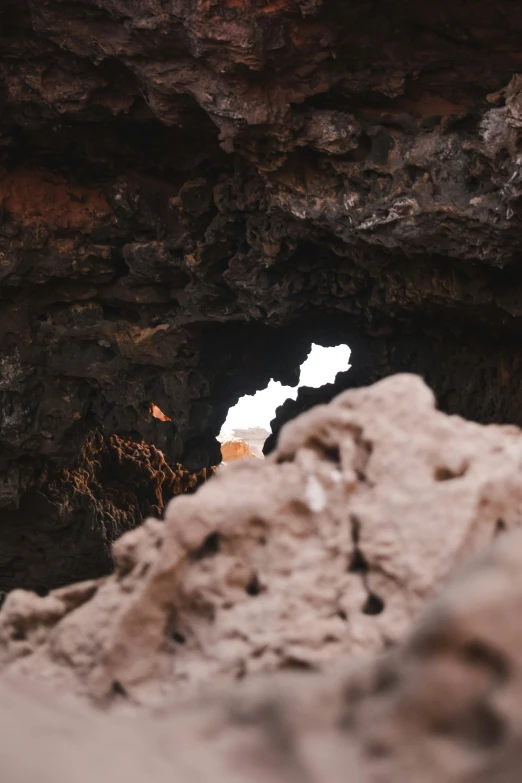 a small bird is perched in an open cave