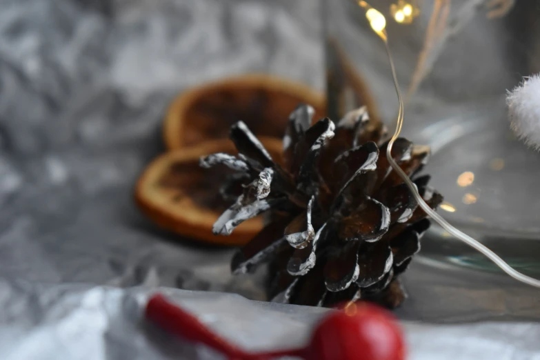 a pine cone that is on a table