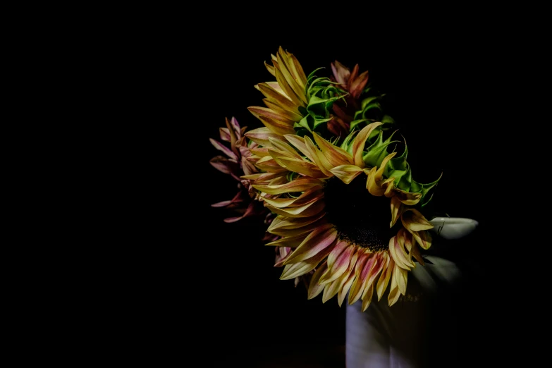 a sunflower is placed in a white vase