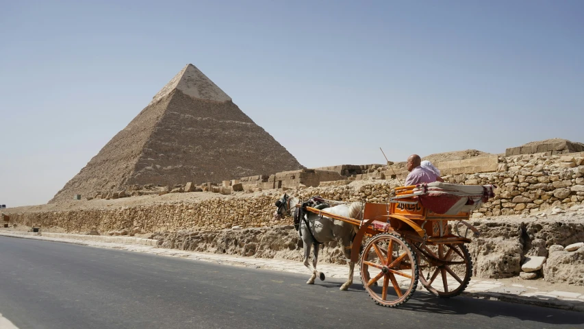 horse drawn cart near the egyptian pyramids in egypt