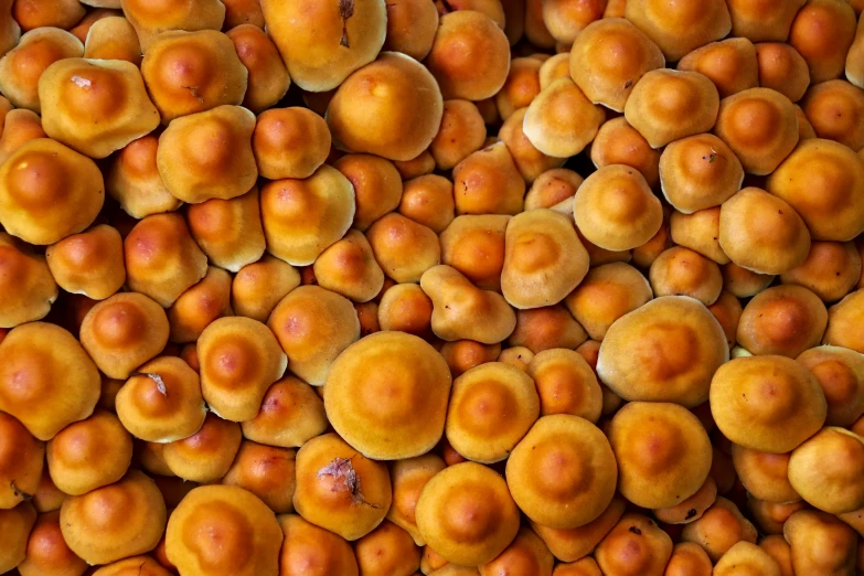 the background shows many small oranges that are yellow