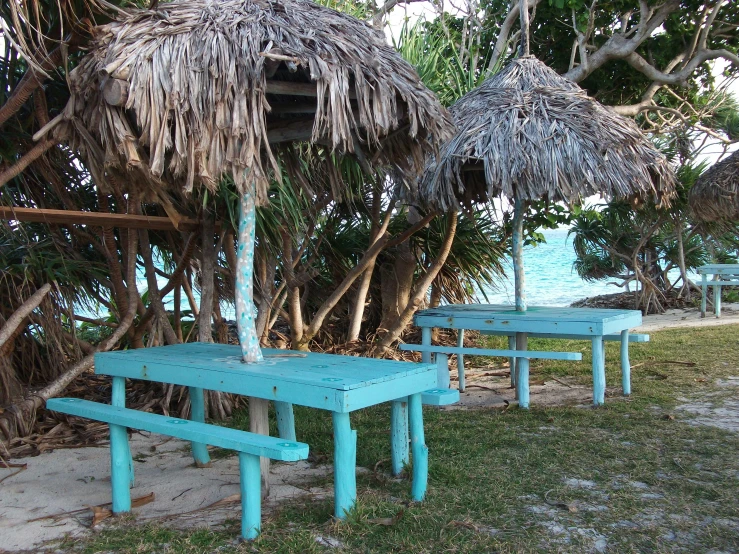 an empty green table under a large tree