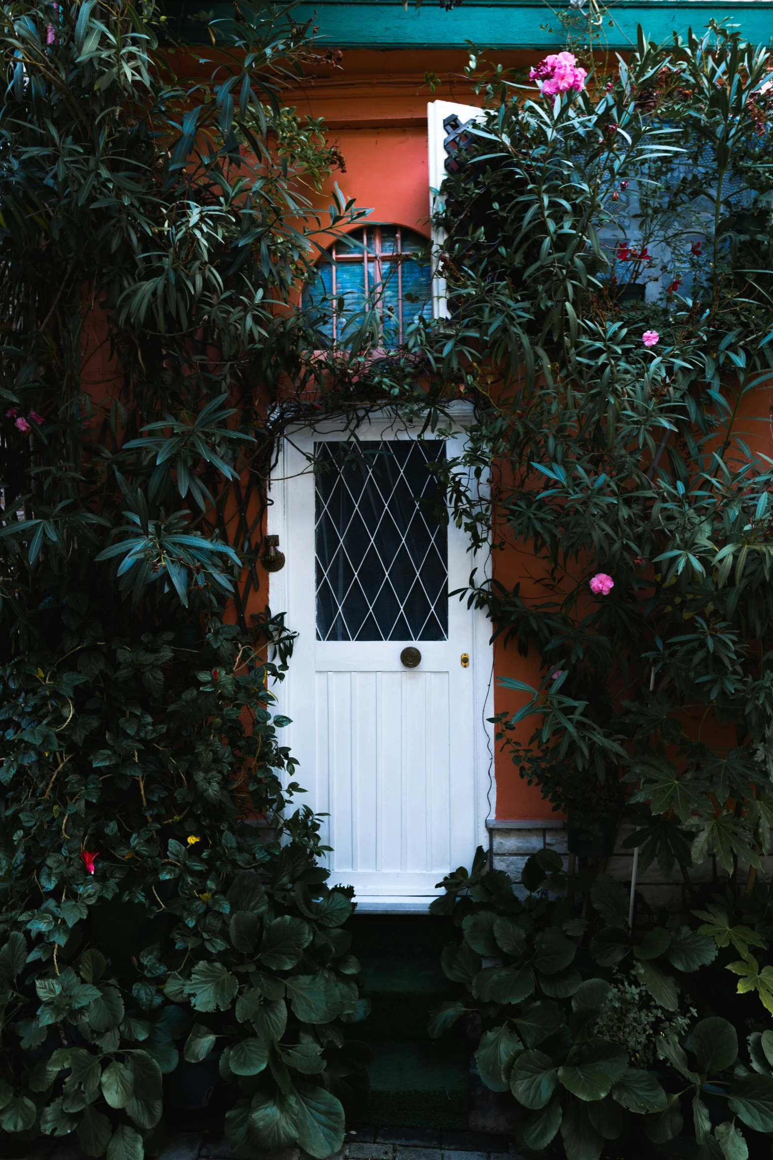 this is an image of a door with vines