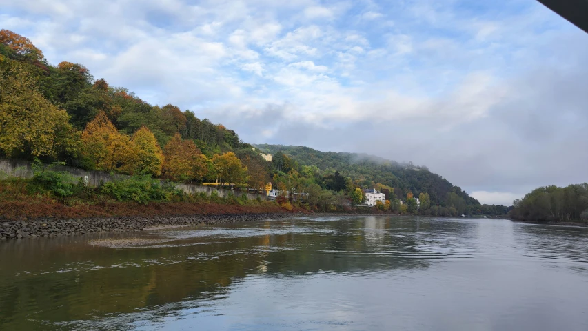 a body of water with trees in the background