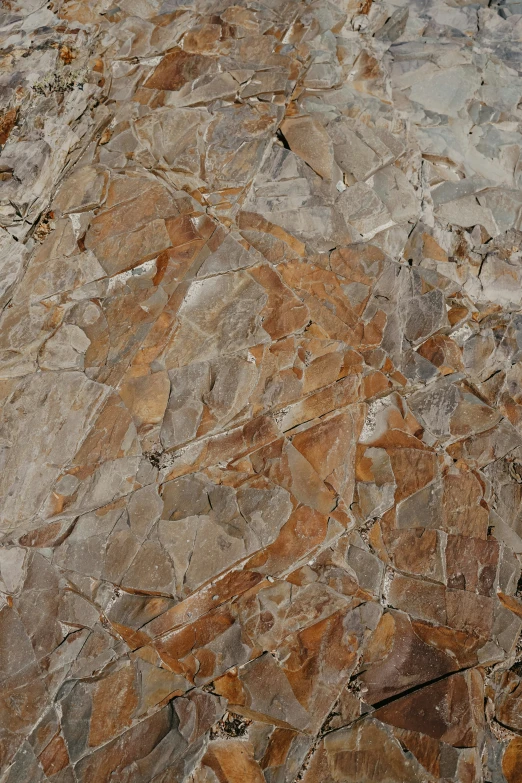 a close up view of some brown, grey and yellow stone