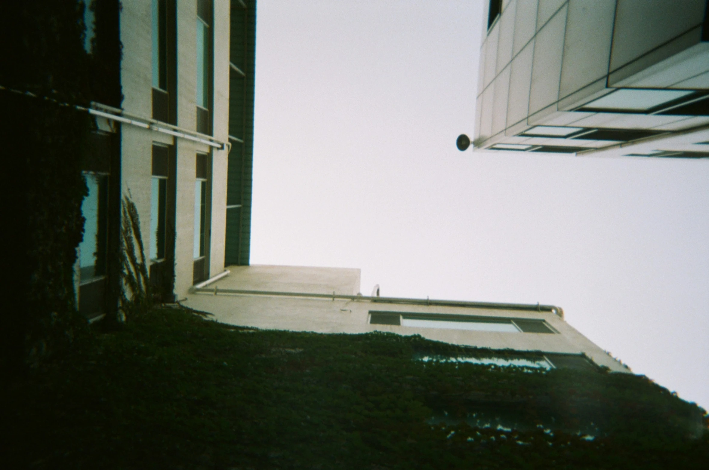 tall buildings are seen from the ground with grass on the windows