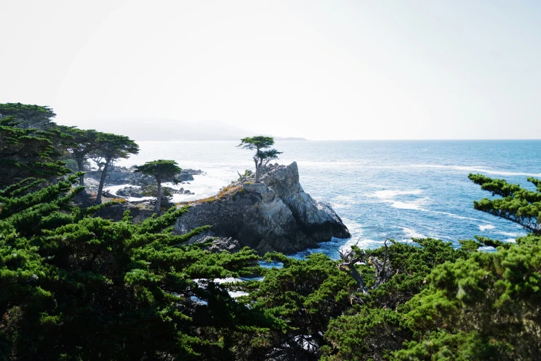 a picture of the coast, with water and trees