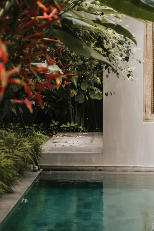 a view from inside a house of the pool