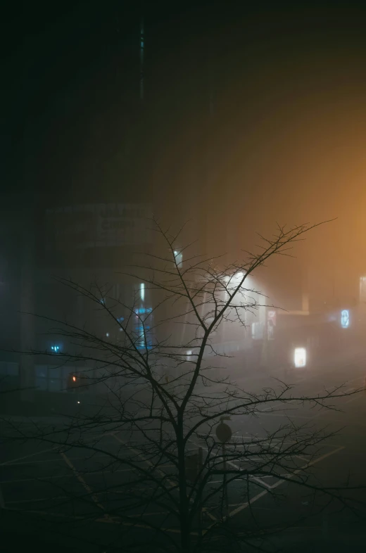 fog covers a parking lot and street lights