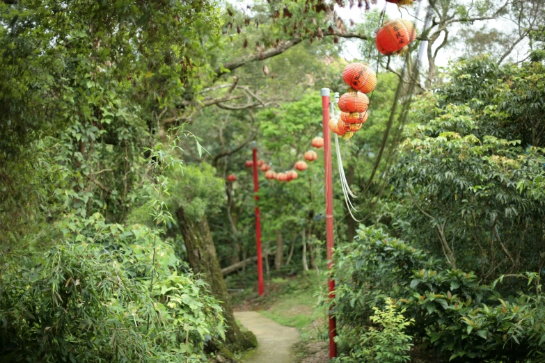 a pathway in the forest with lanterns on the poles