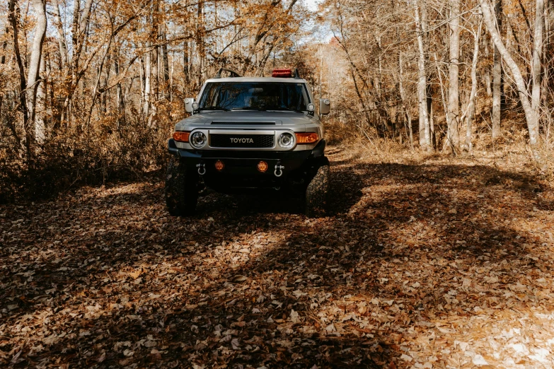 the grey truck is traveling through the leaf covered trees