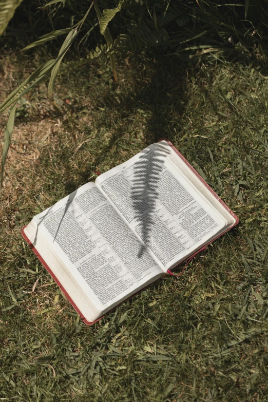 an open book sitting on the ground in grass