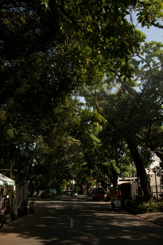 a street with green trees lining both sides