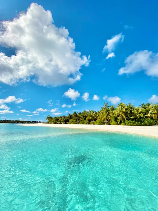 an ocean that is blue with white sand and palm trees